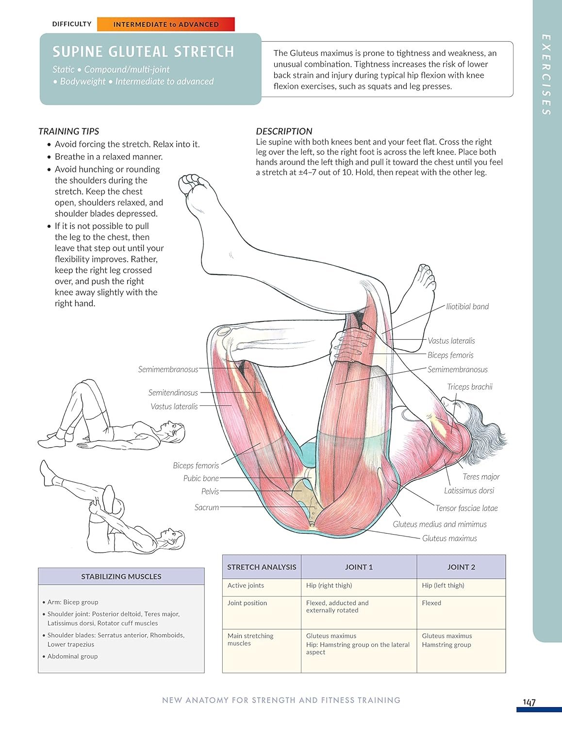 New Anatomy for Strength  Fitness Training: An Illustrated Guide to Your Muscles in Action Including Exercises Used in CrossFit (R), P90X (R), and Other Popular Fitness Programs (IMM Lifestyle Books)     Paperback – August 14, 2018