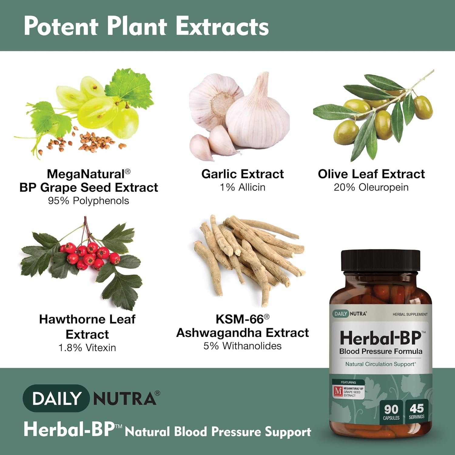 Top Blood Pressure Supplements: Herbal-BP, Dr. Tobias & More